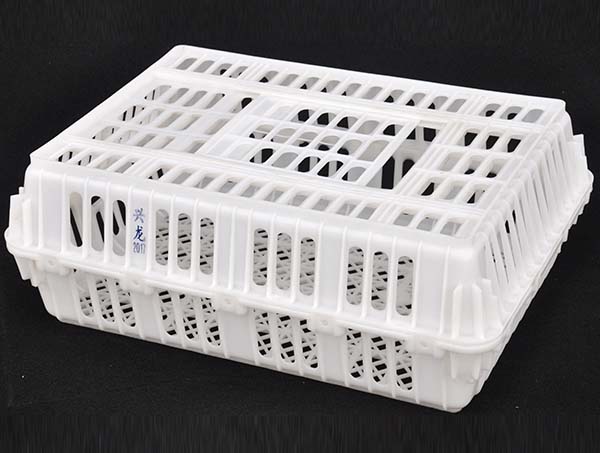 成鸡成鸭周转笼